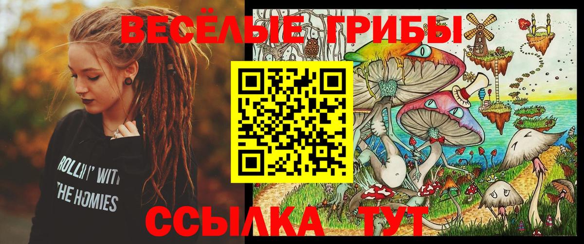 Сарапул  Галлюциногенные грибы Psilocybe  Вход с VPN 