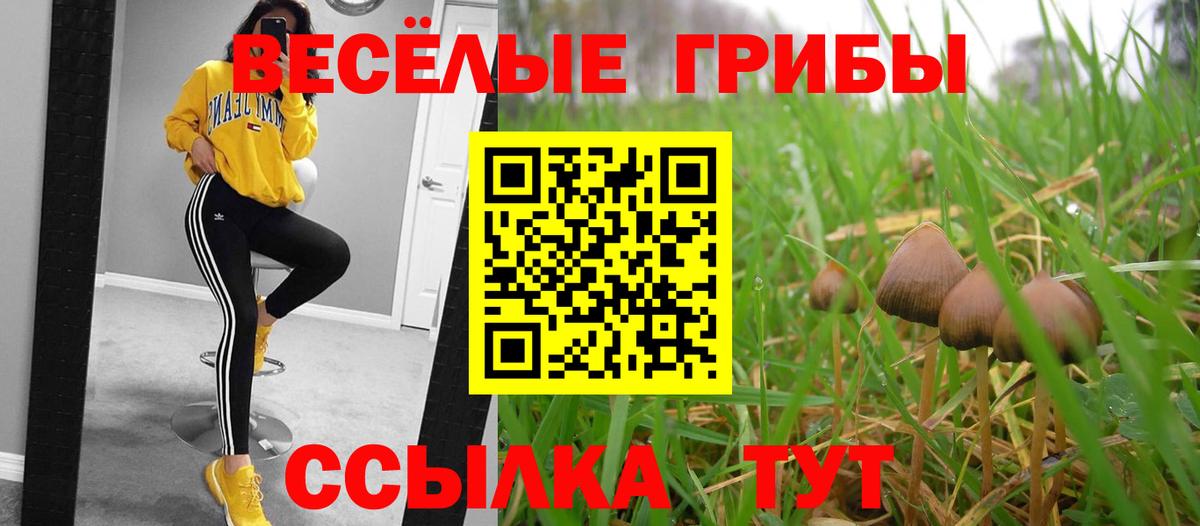COCAIN Сарапул